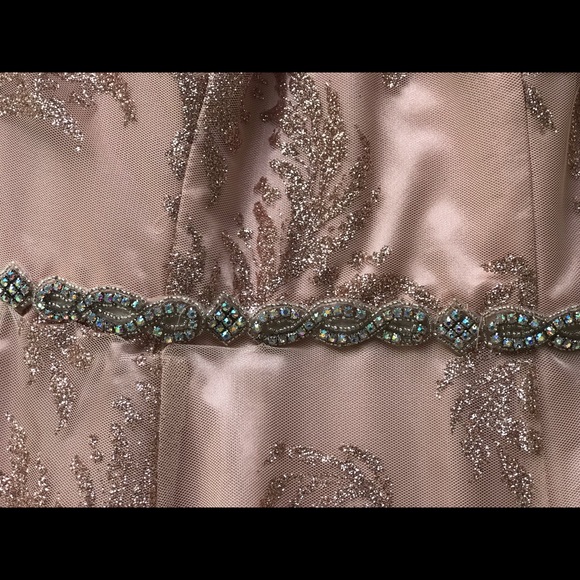 Rose with shimmer material full length evening gown - Picture 8 of 10